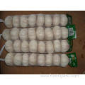 Normal White Garlic packed in 8pcs bag